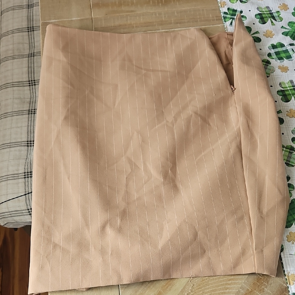 NWT Express Pencil Skirt